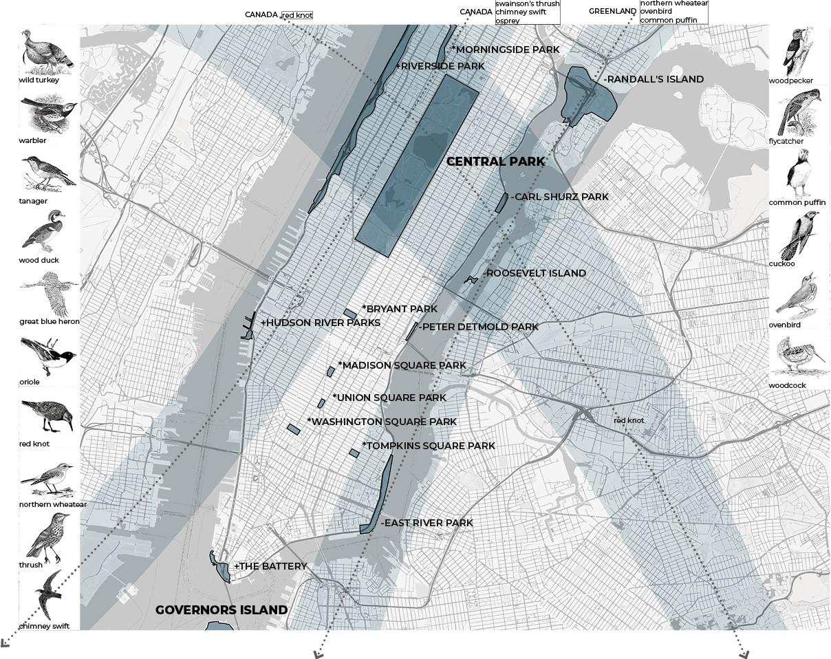 Manhattan - Atlantic Flyway