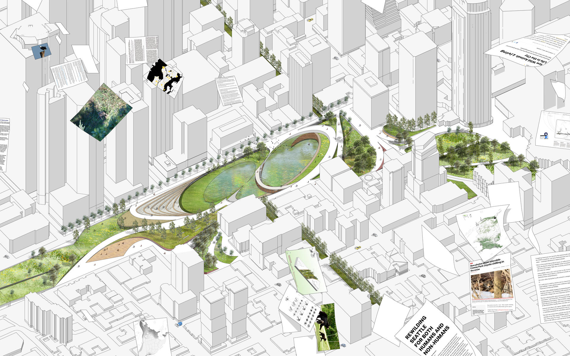 Through the whole green network, it connects and renovates relevant green spaces. The new freeway park shows how it functions as a central station for non-humans to connect different corridors. 