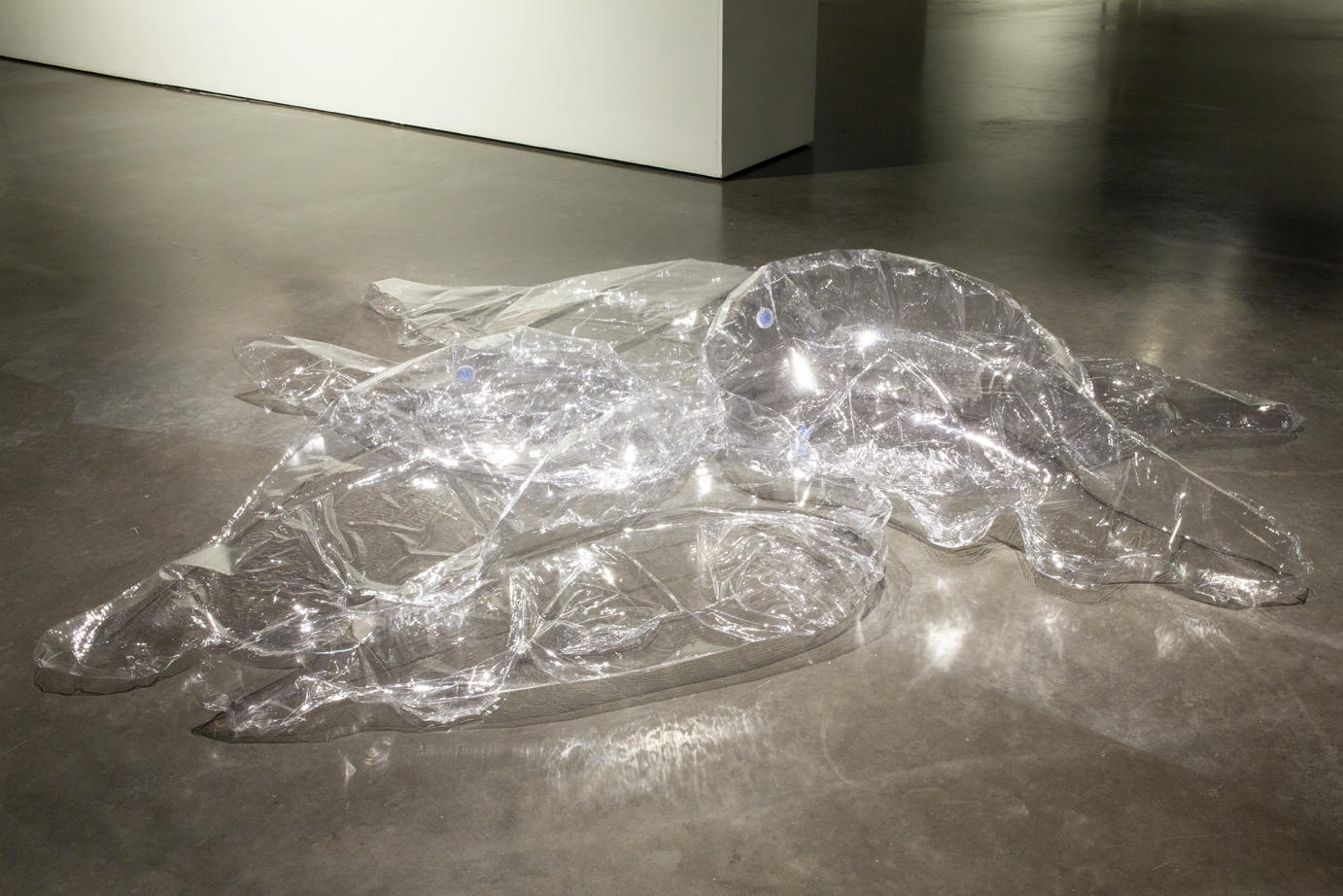 clear plastic inflated object sits on a concrete gallery floor