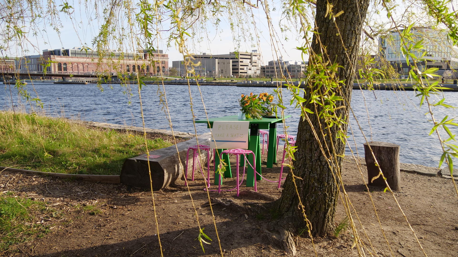 A bright green table is surrounded by pink stools and sits under a tree next to the Providence River with a sign that reads "Please! Have a seat :)"