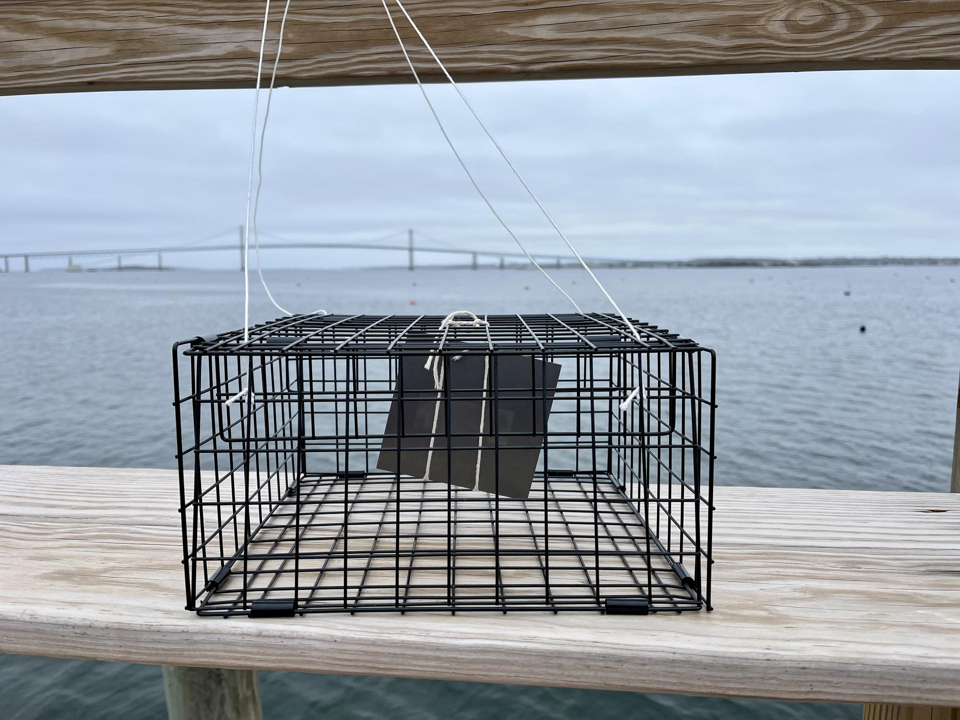 Steel plate in lobster pot at a dock in Jamestown.