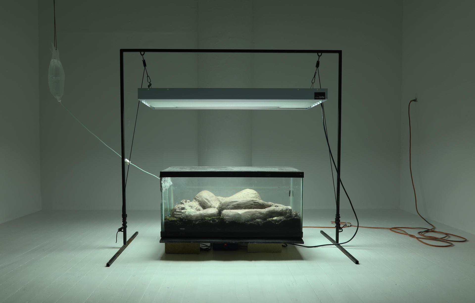 A raw clay figure lays inside a large tank filled with soil, plants and organisms while connected to an IV Bag and illuminated by a UV Light