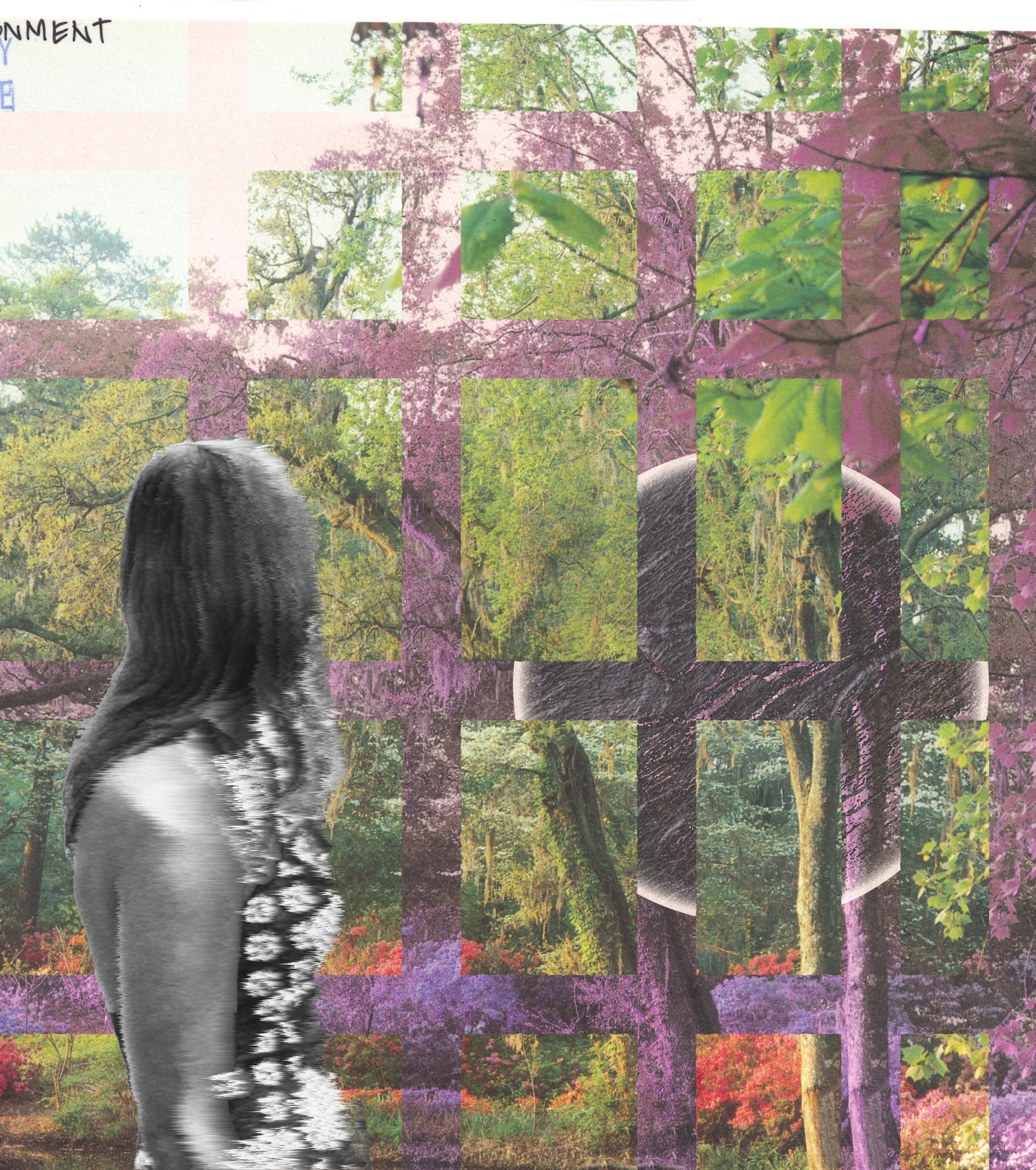 Woman looks across a plane of multiple textures, an image of a wooded area is offset in 
