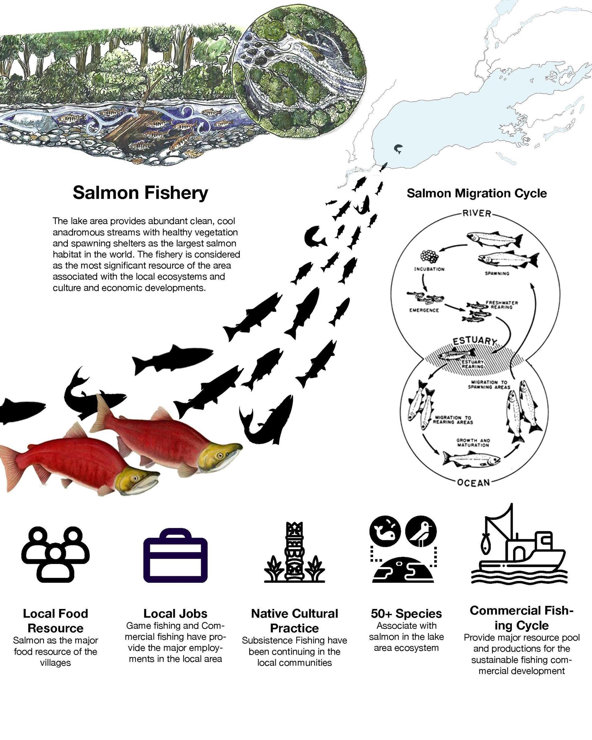 Salmon related diagrams