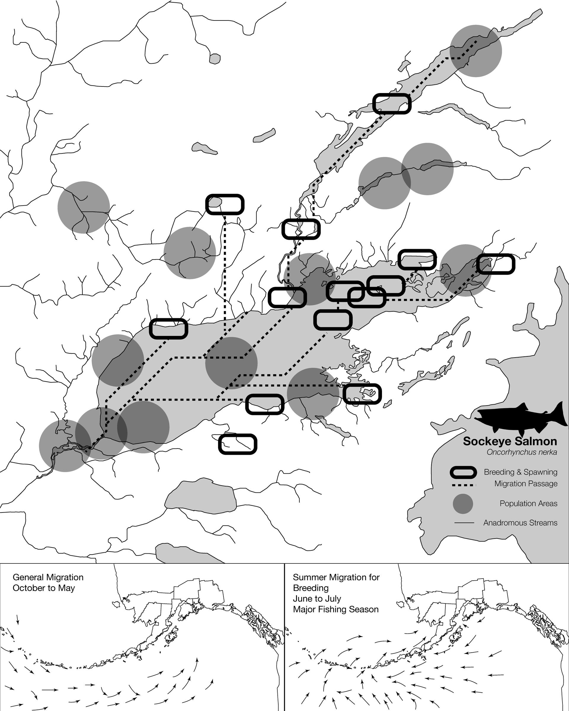 Salmon Habitat mapping