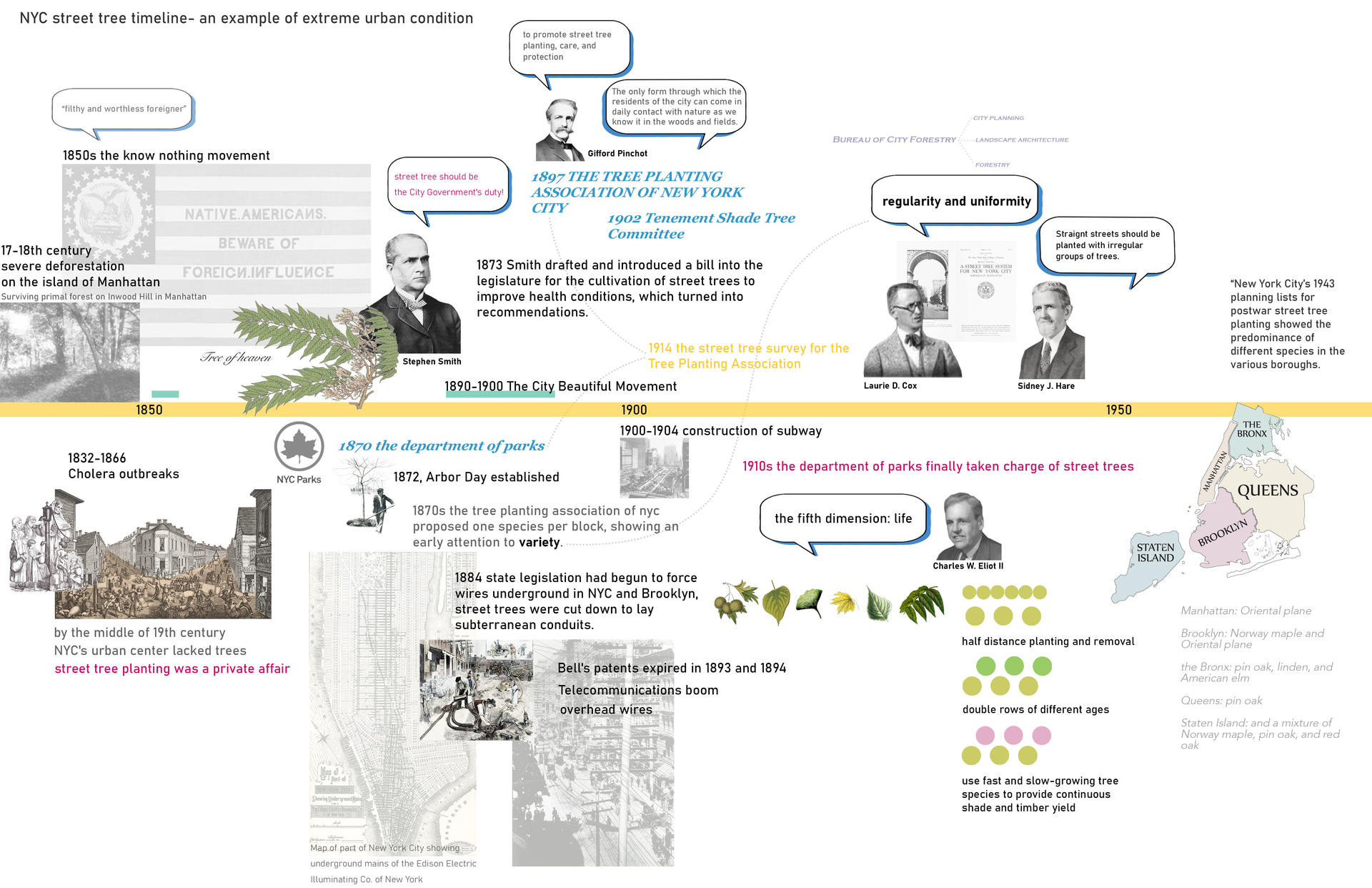 The timeline is showing the whole process of how street trees have become an important part of city planning and how theories of street planting evolve through time.