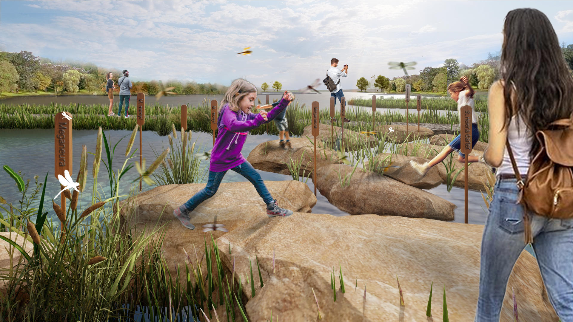 When people step on the rock berm, they can closely connect with dragonfly habitats.