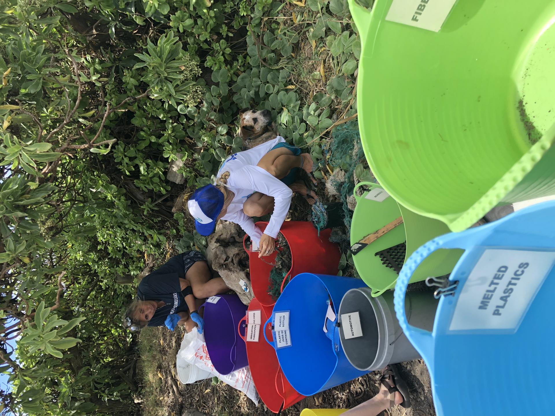 Marine biologists and volunteers sort trash found on a beach in Maui.