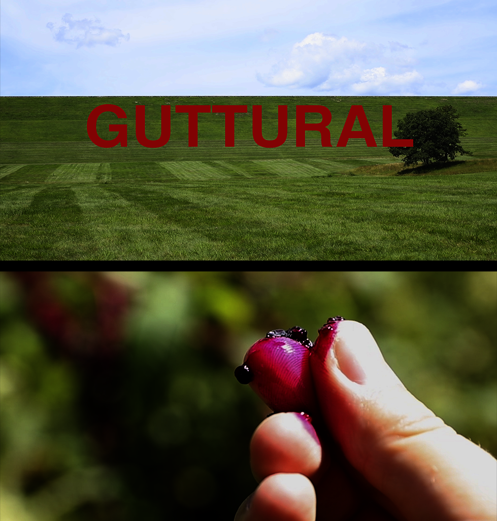 A video still of a single tree in a eerily perfect field with the text "guttural" across the image. Next to it is another video still of a red berry being crushed between two fingers.