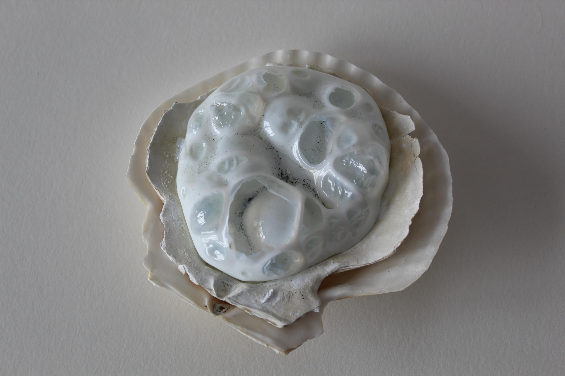 A scallop shaped shell holds another scallop shaped shell with bubbling white glass in it.