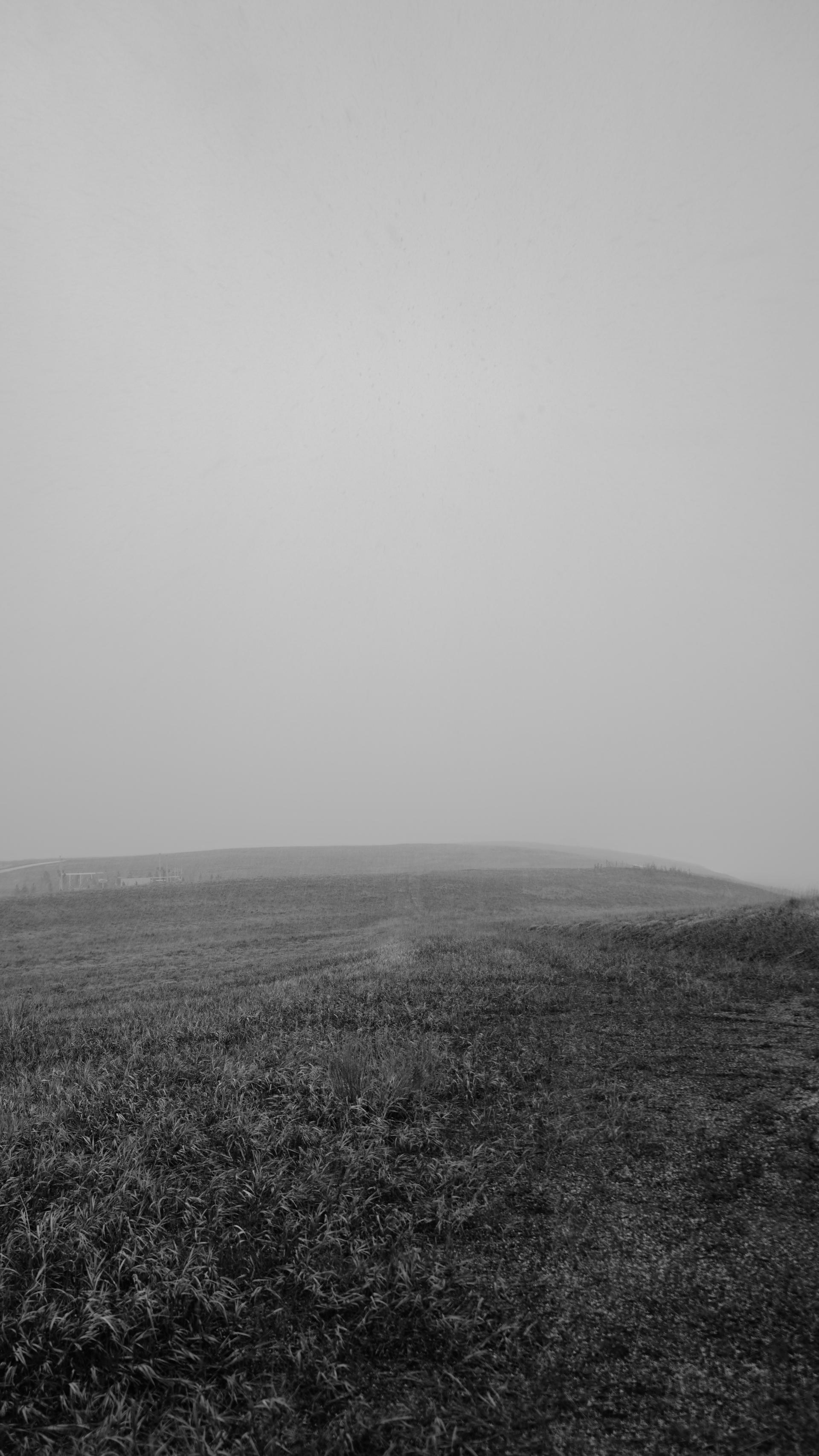 Black and white digital photograph of a rolling field at the start of a hail storm.