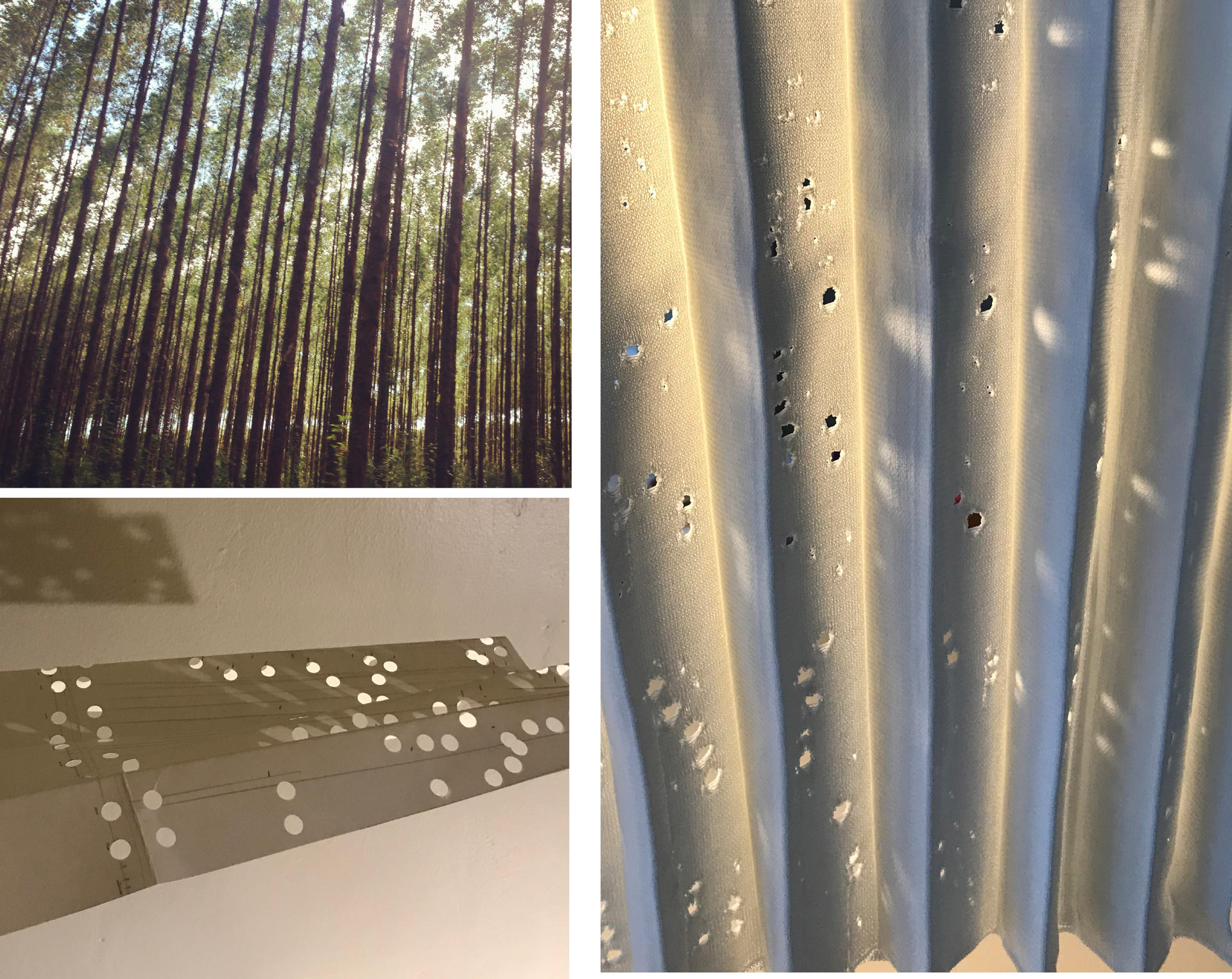 Photograph of a sun dappled forest, pleated paper mockup, and knitted fabric capturing a sun dappled effect.