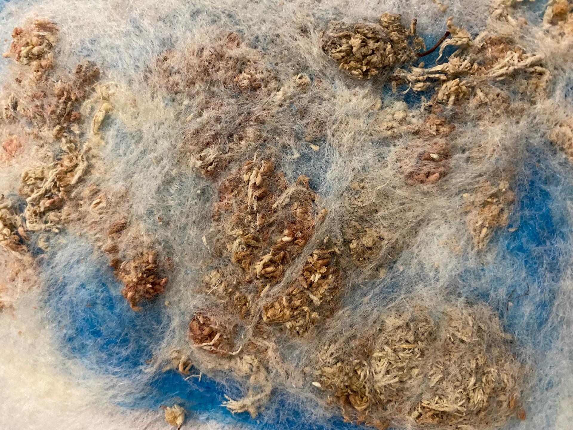 blue and white wool fibers felted into dried plant material