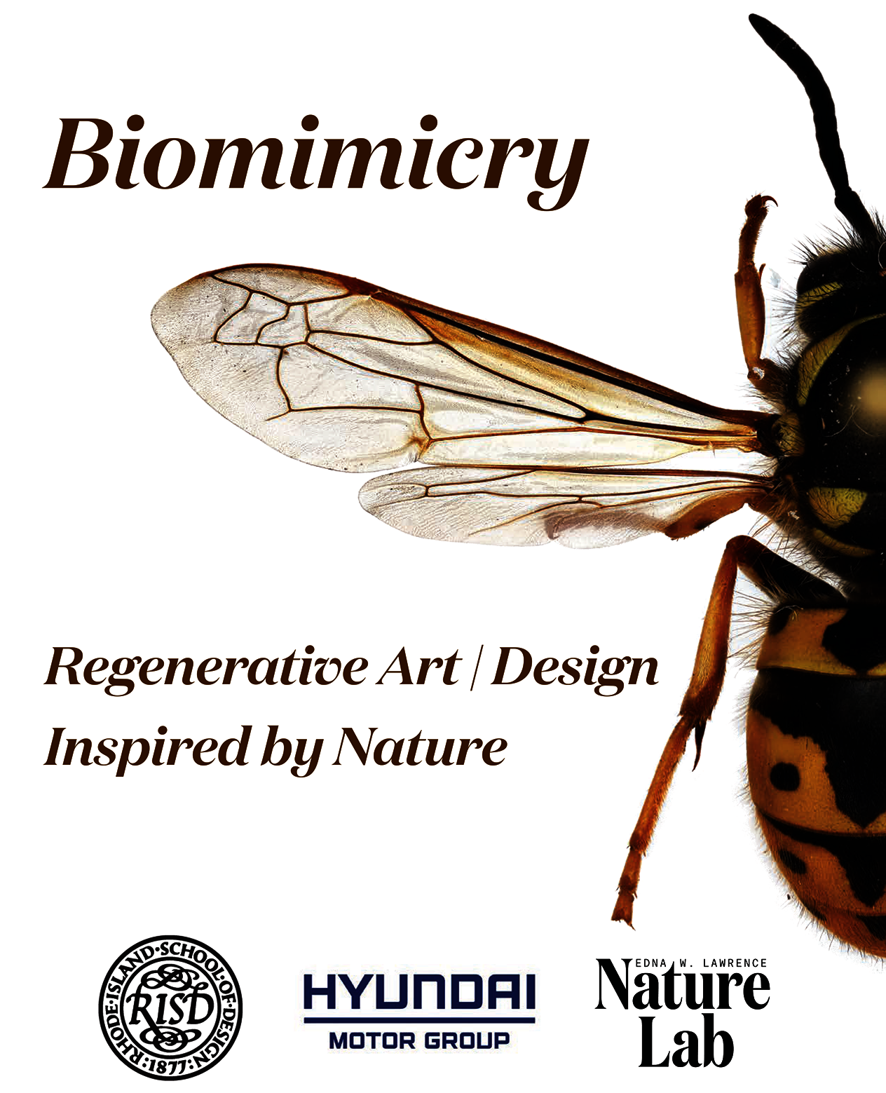 A close-up image of a bee with wings outstretched. Text: Biomimicry: Regenerative Art/Design Inspired by Nature
