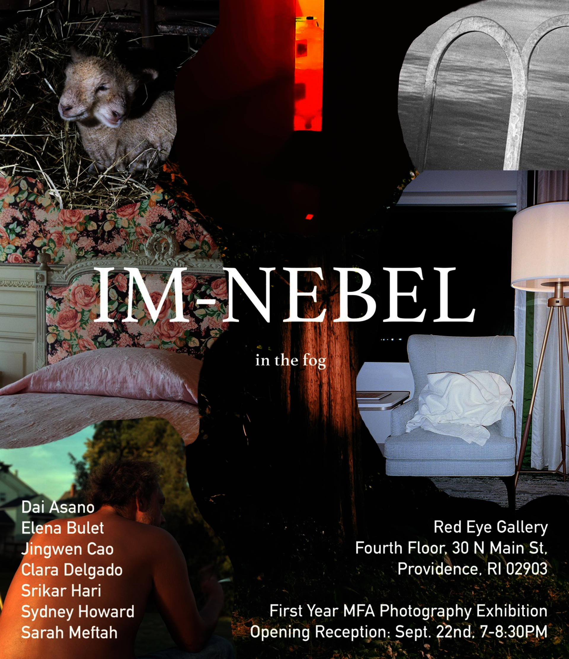 Poster with collaged photographs and the text Im Nebel (in the fog).
