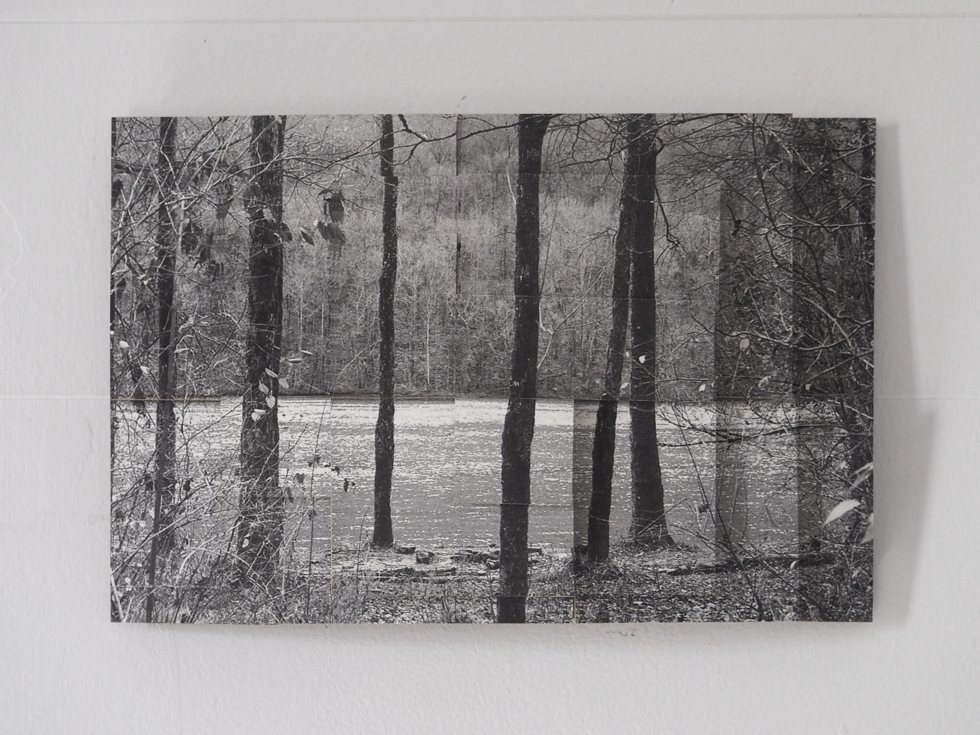 Trees without their leaves along a river and an underlying grid.