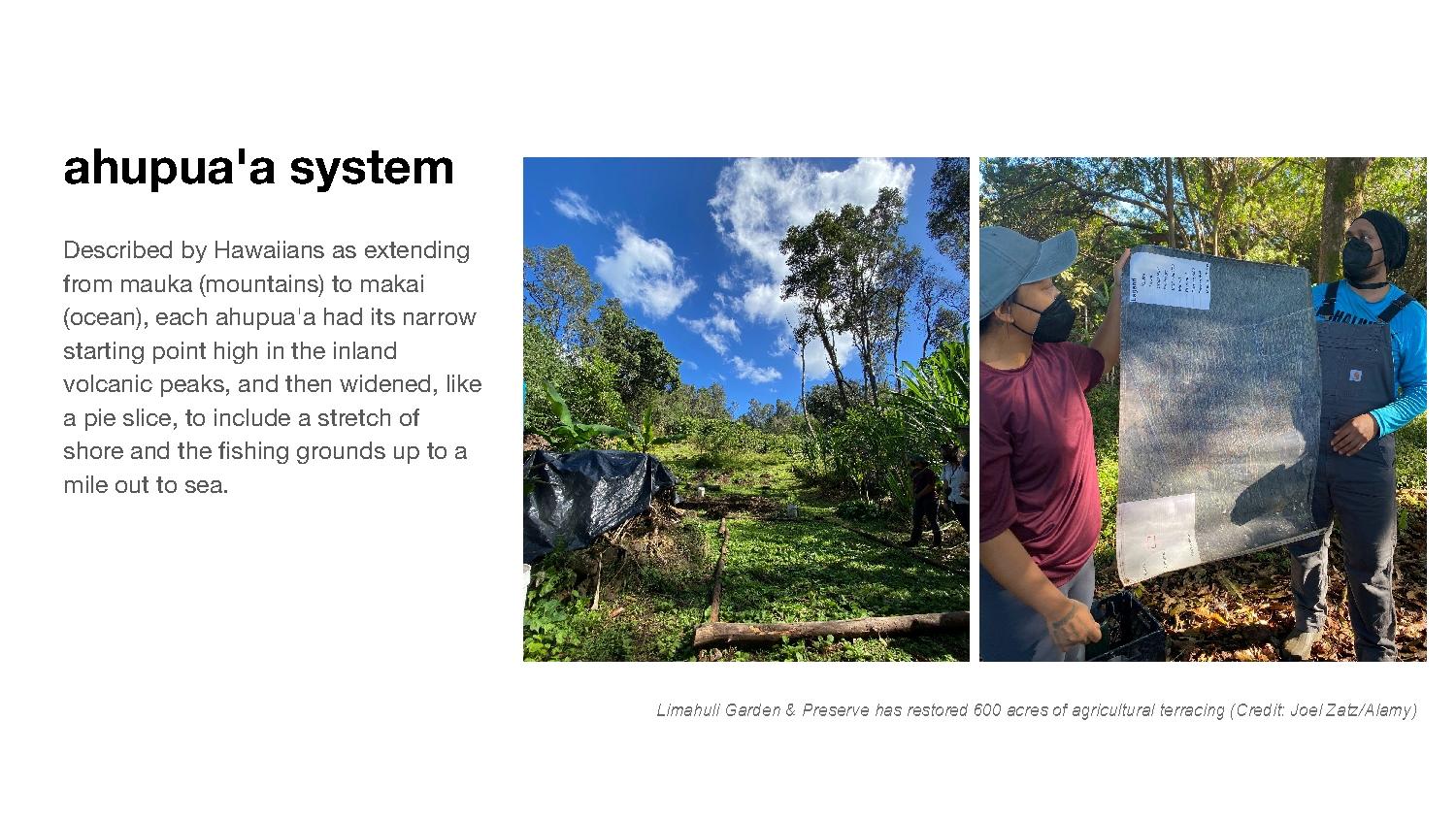 Information on Ahuapua'a System accompanied by a 2 photographs, 1 of a present day restoration of an ahupua'a landscape along the hillside and one of 2 people holding a mapping of this system. 