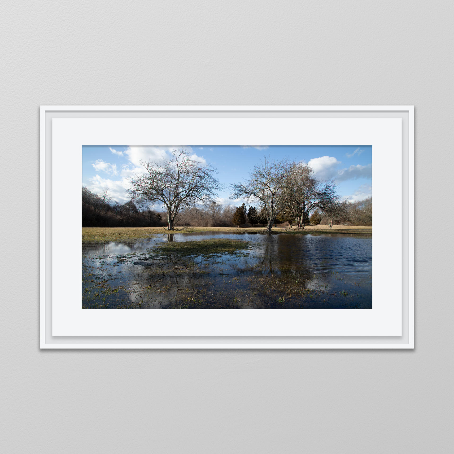 A landscape photograph framed and mounted on the wall. 