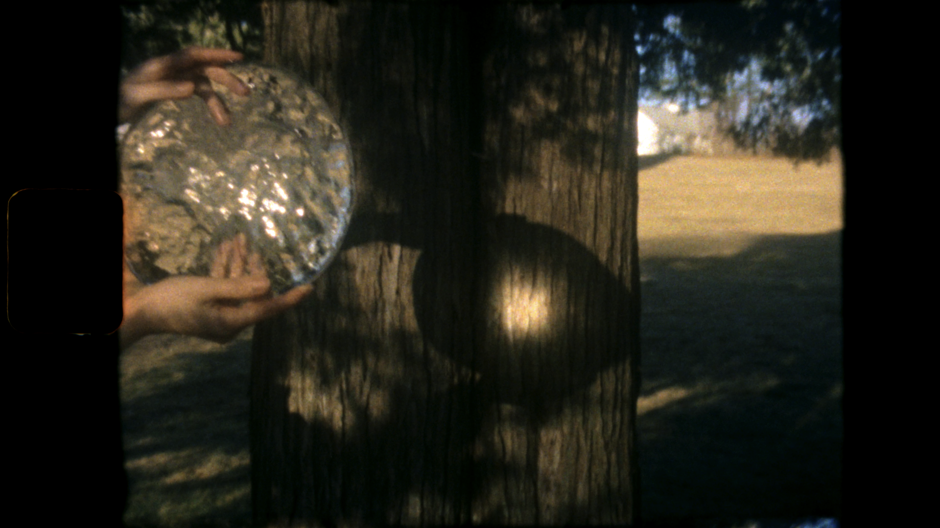 A person trying to focus on a tree with an ice lens.