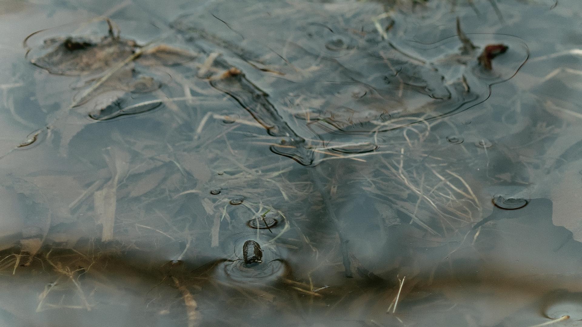 Ice gradually melting in water.