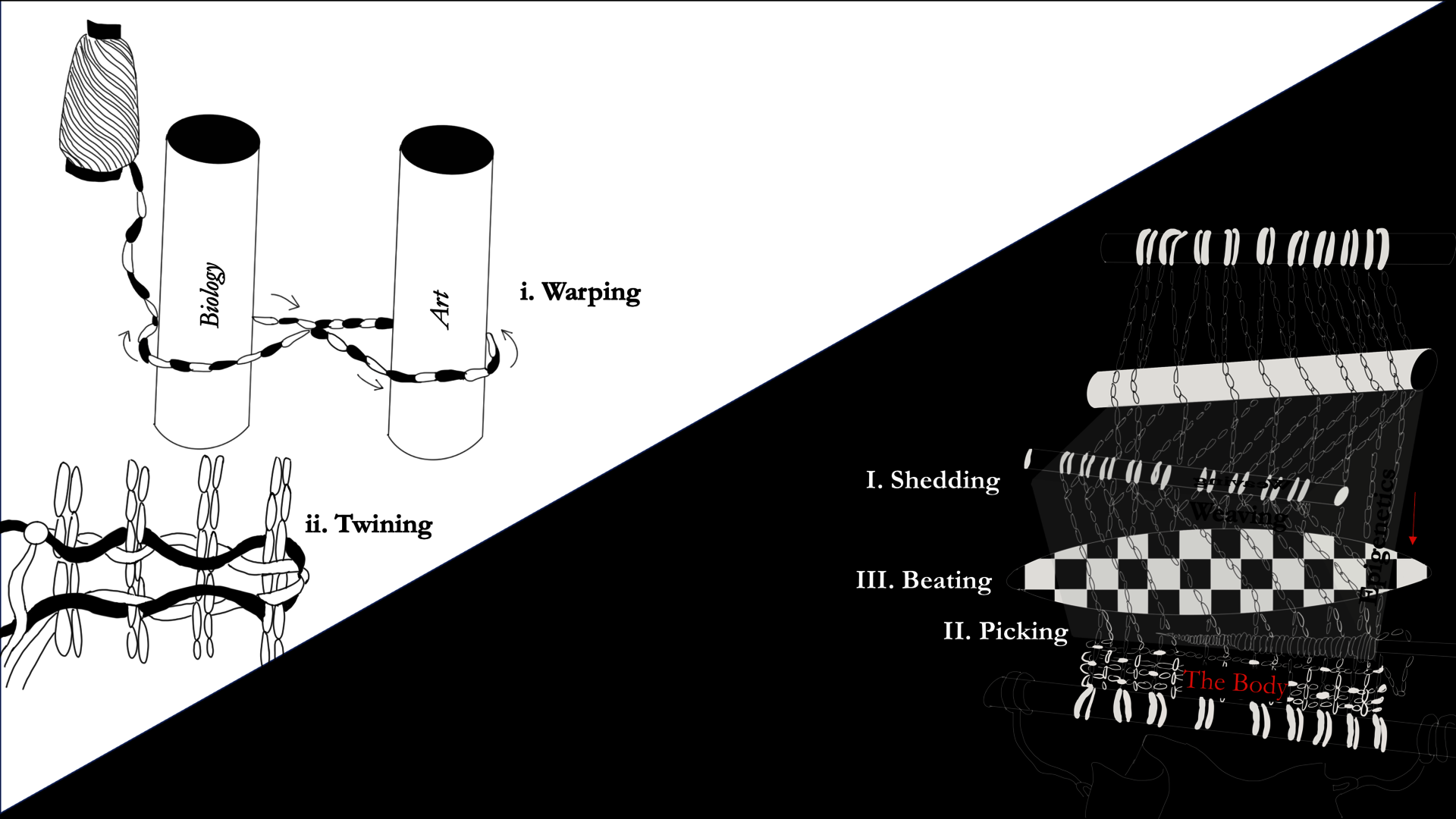 Diagram of the thesis structure as warping, shedding, beating, picking, and twining.