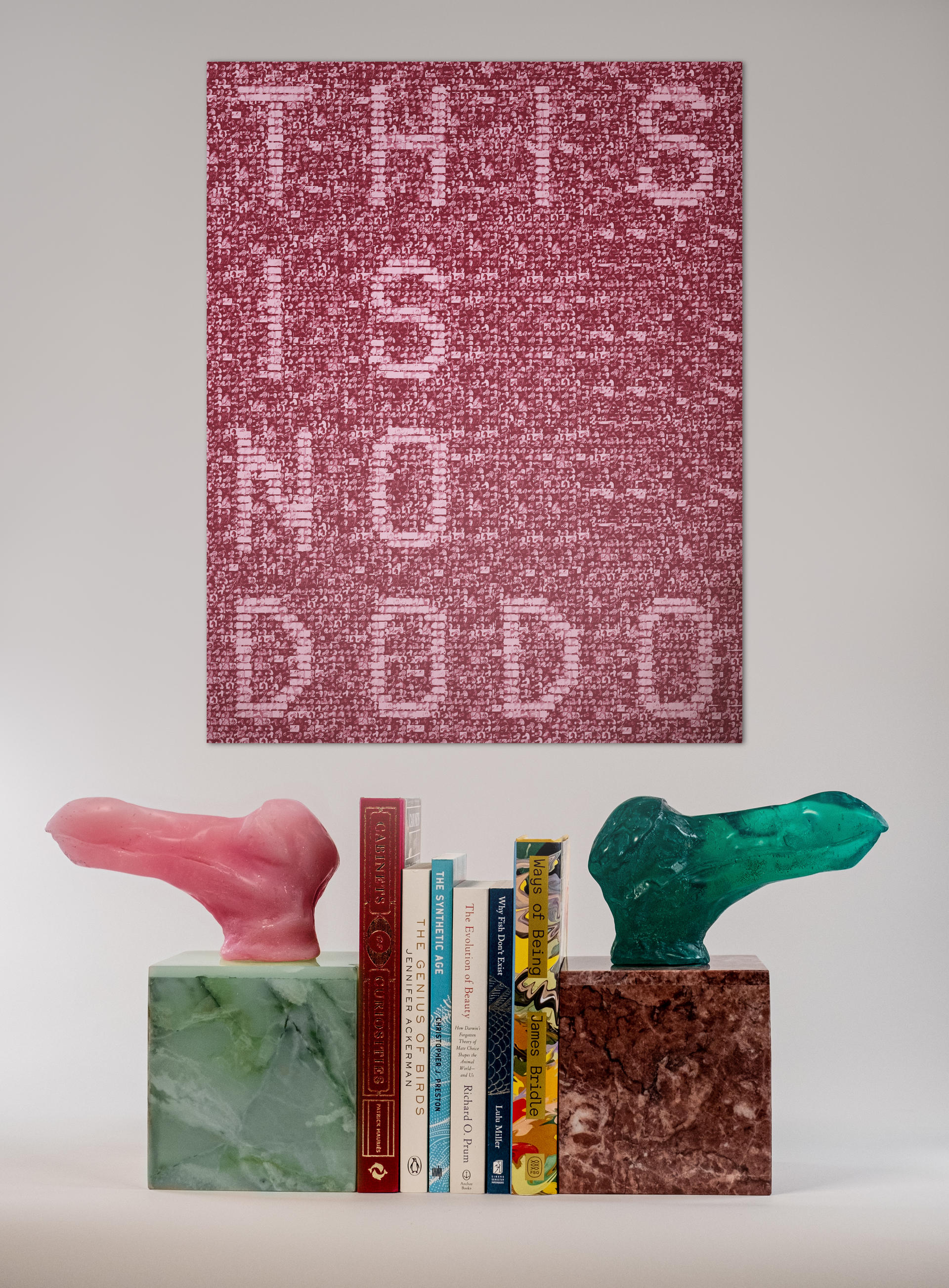 Bookends made from the mould of the only well-preserved head of the dodo; typographic poster generated from digitally generated archive of dodo heads.