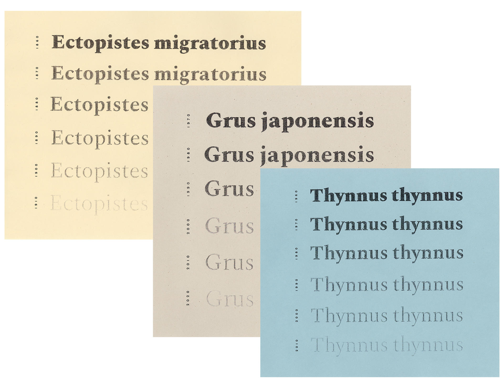 Variable typeface based on a classic 19th century serif showcasing the notion of species population decline.