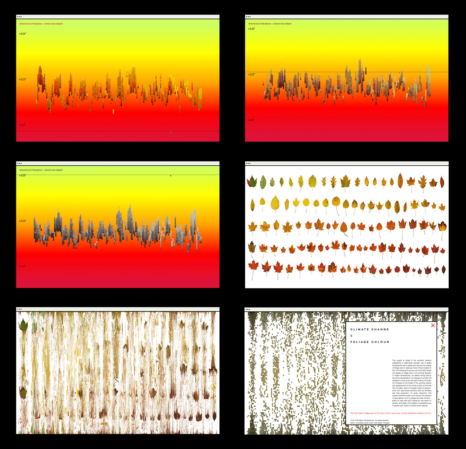 Web-based information design project documenting the potential impact climate change has on the expression of foliage color in deciuous trees in New England.