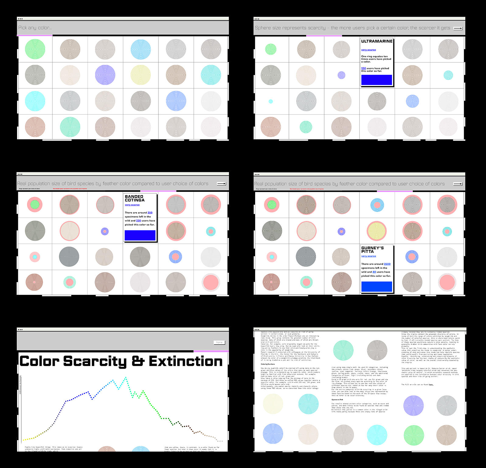 Interactive web design framework investigating the findings of research showing the positive statistical relationship between degree of color in birds and their risk of becoming extinct.