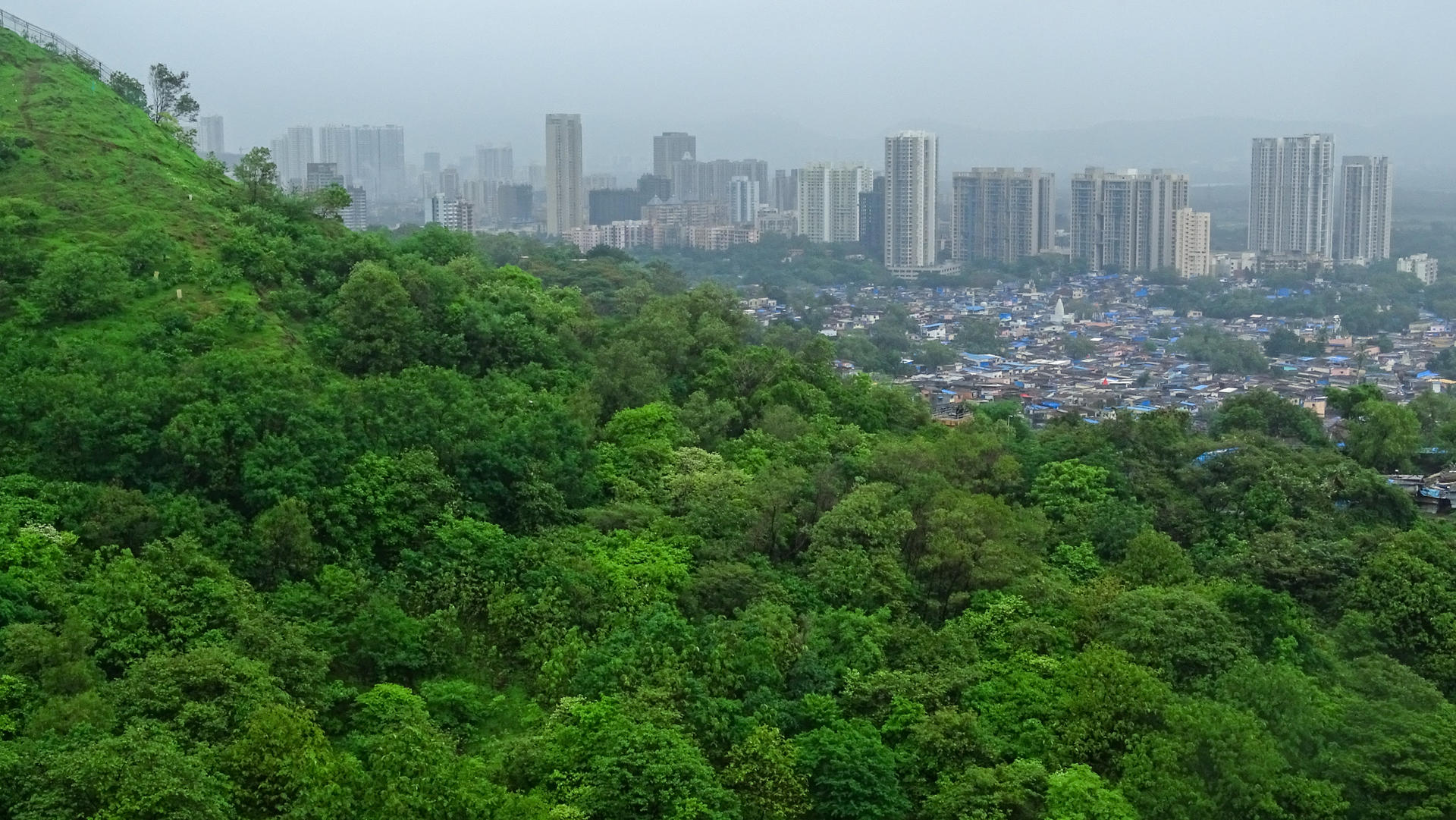 A green hill against an urban city in the background