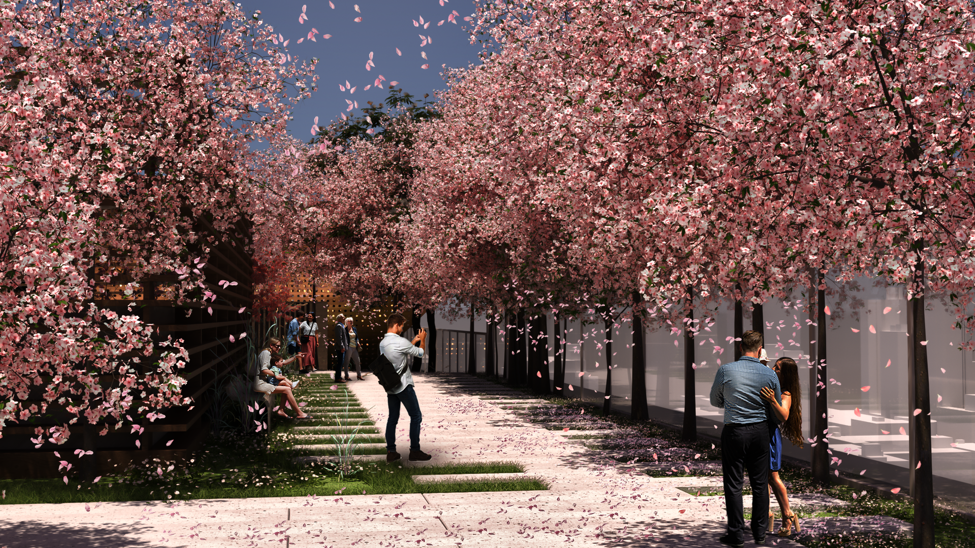 Walking trail presents a vibrant spring adorned with an abundance of cherry blossoms. This picturesque scene is a delightful attraction, appealing not only to individual visitors but also to families seeking a memorable experience amidst nature's beauty.