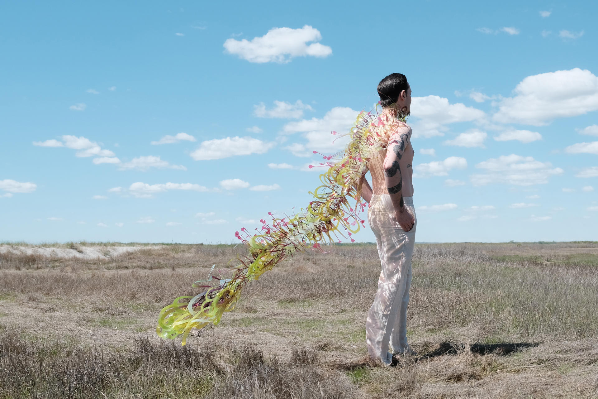 A man stands in a field