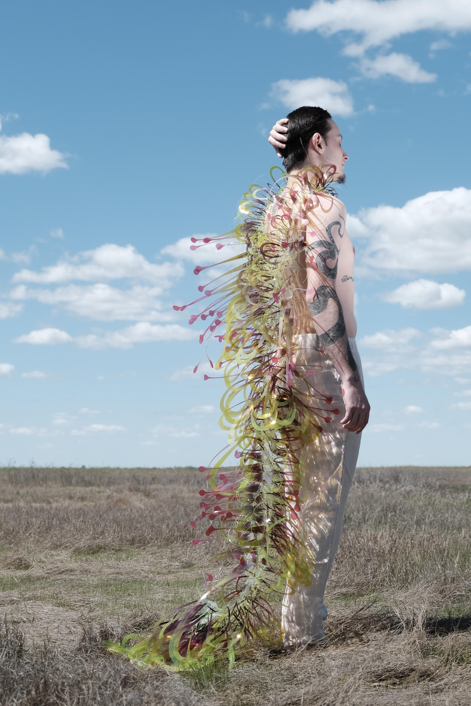 A man stands in a field