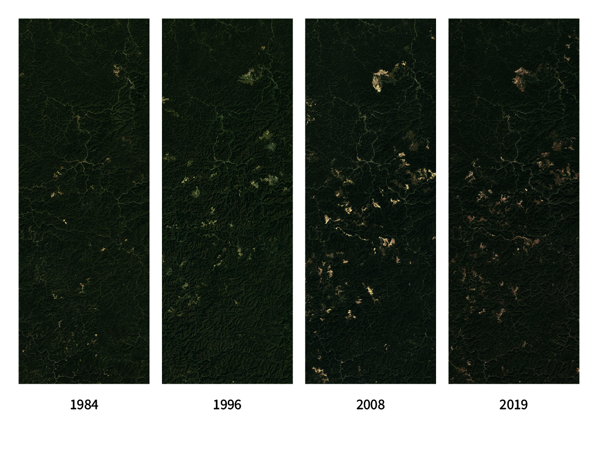 Four aerial images showing increased intensity of strip mining from 1984 to 2019