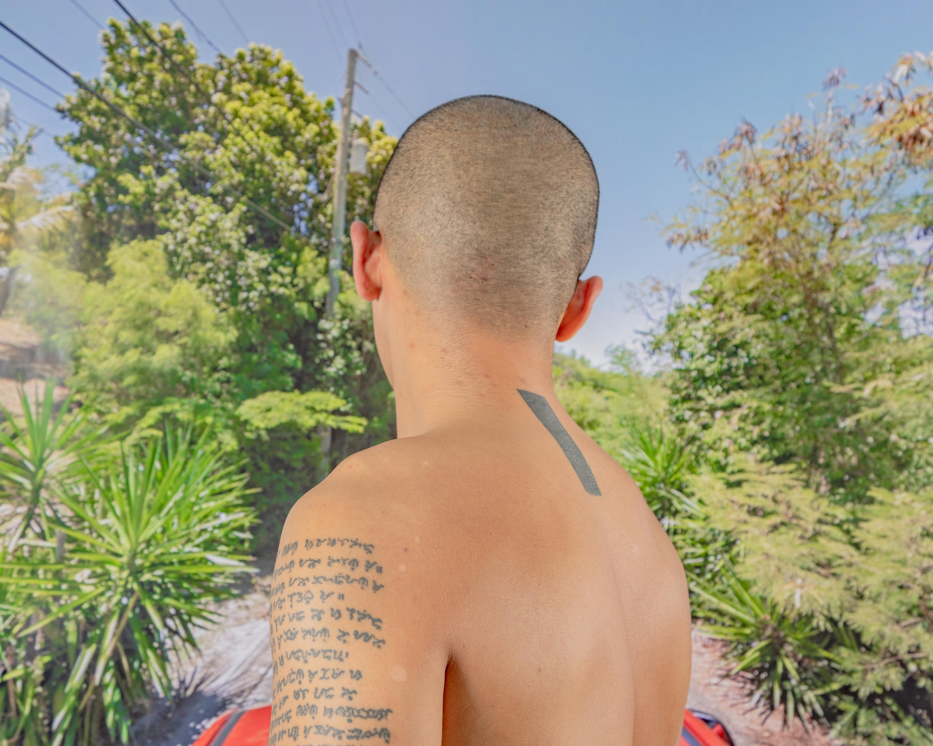 A shirtless man has his back to the camera going toward a tropical landscape.