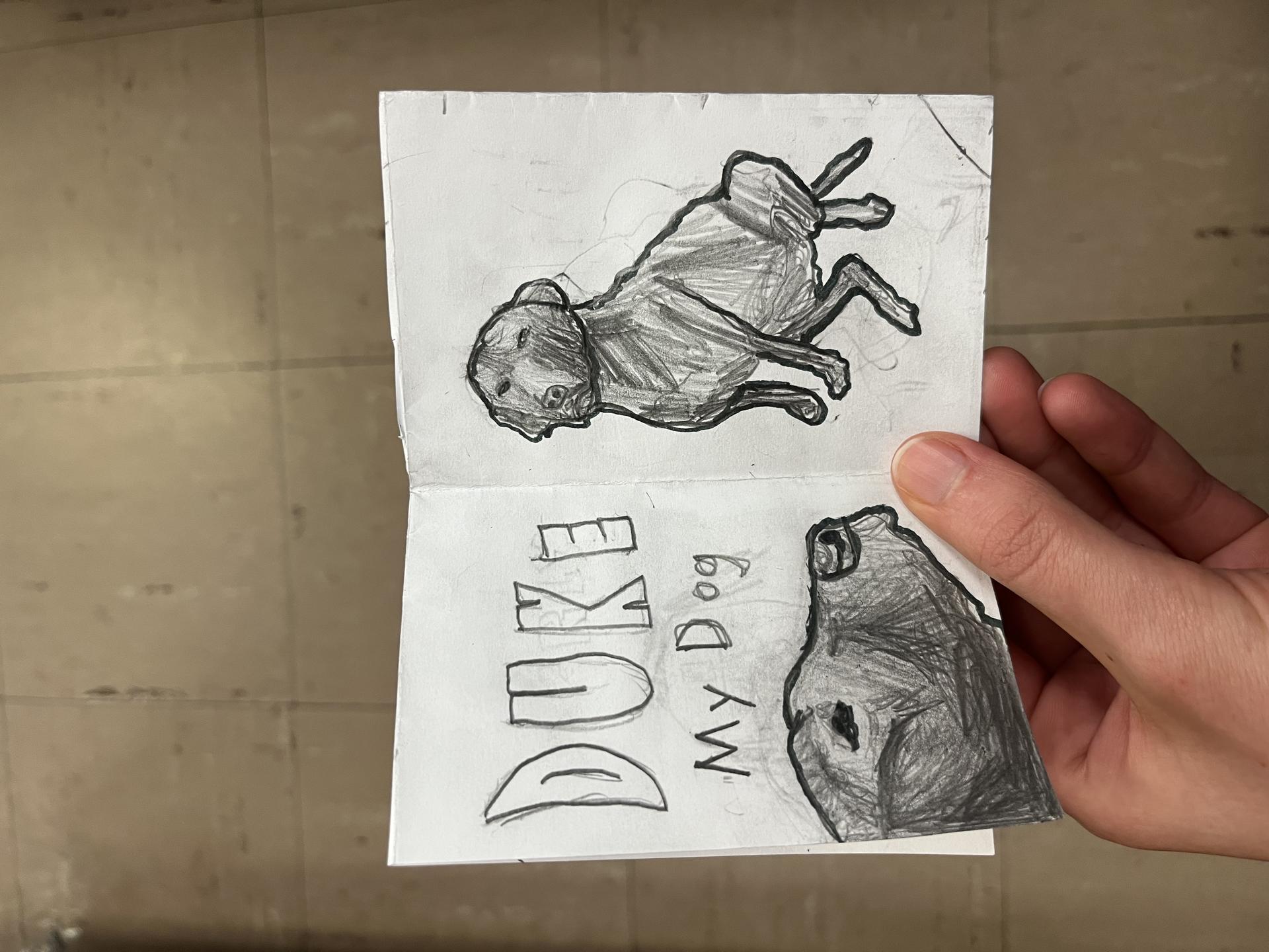Pilgrim High School student creates an All About Me Zine with illustrations of their dog.
