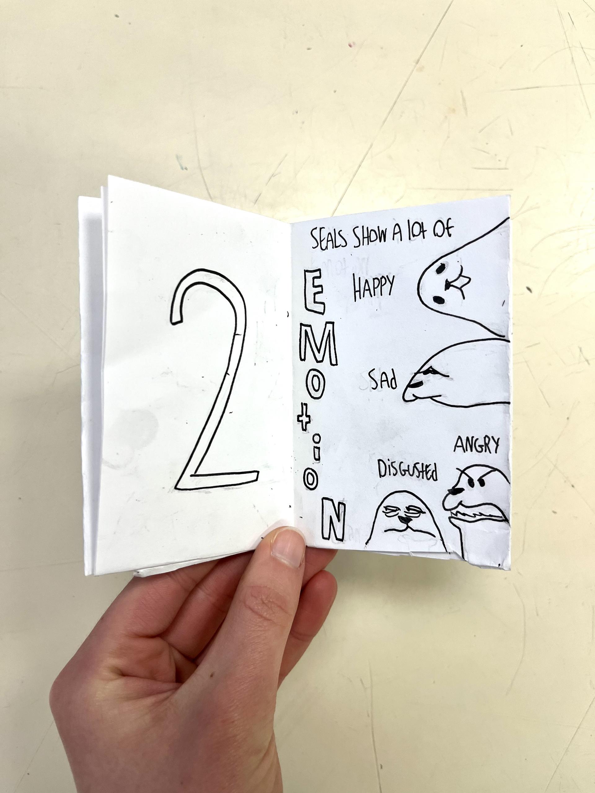 Pilgrim High School student creates a zine detailing why seals are the best animal.