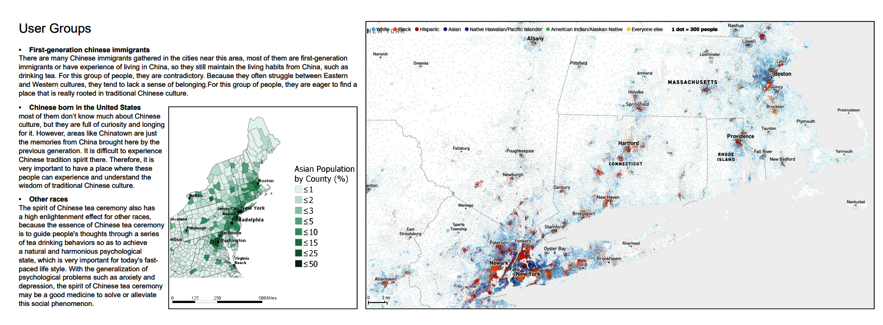 Asian including Chinese and other races population on east coast.