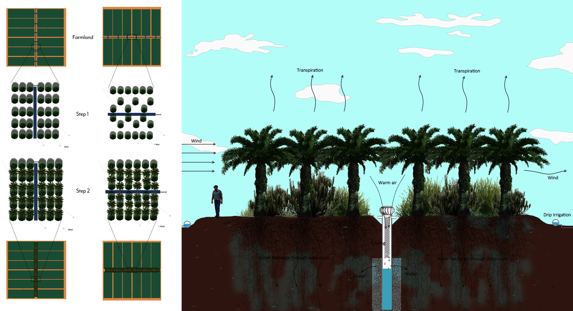 Building a wind wall in farmland can prevent wind from taking away surface humidity and reduce excessive evaporation of water. By utilizing the root systems of date palms and shrubs, moisture can be brought deep into the soil. Additionally, an airdrop device can condense moisture in the air to further lock in humidity. The root network established by the wind wall can increase the soil's ability to absorb water, promote microorganisms in the soil, and improve soil health. This is conducive to the long-term 