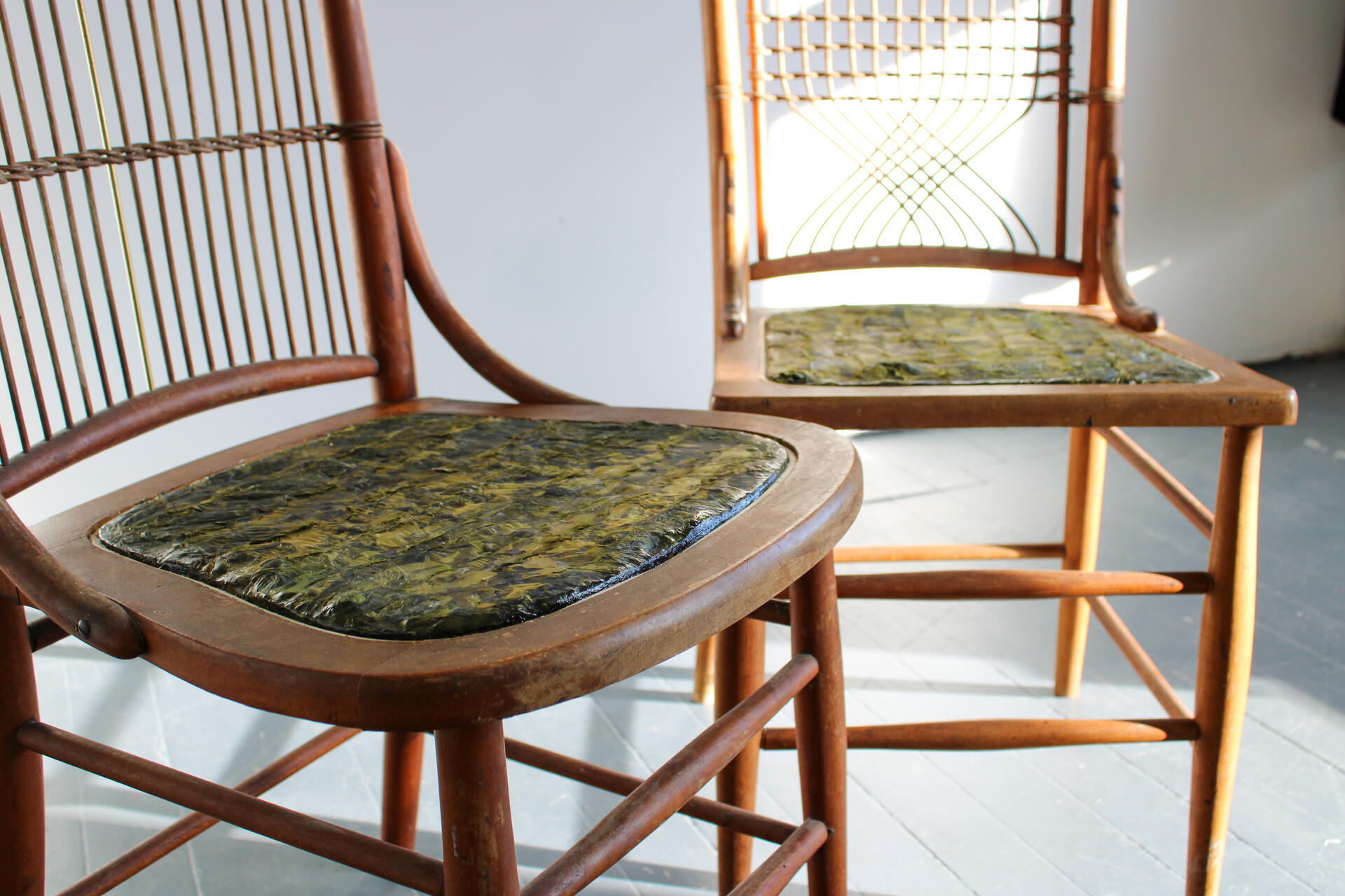 Two chairs (dark brown, early 20th C.) sit side by side. The camera angle is focused on the seats specifically giving a close-up of the kelp showing various hues of green, from dark to light.