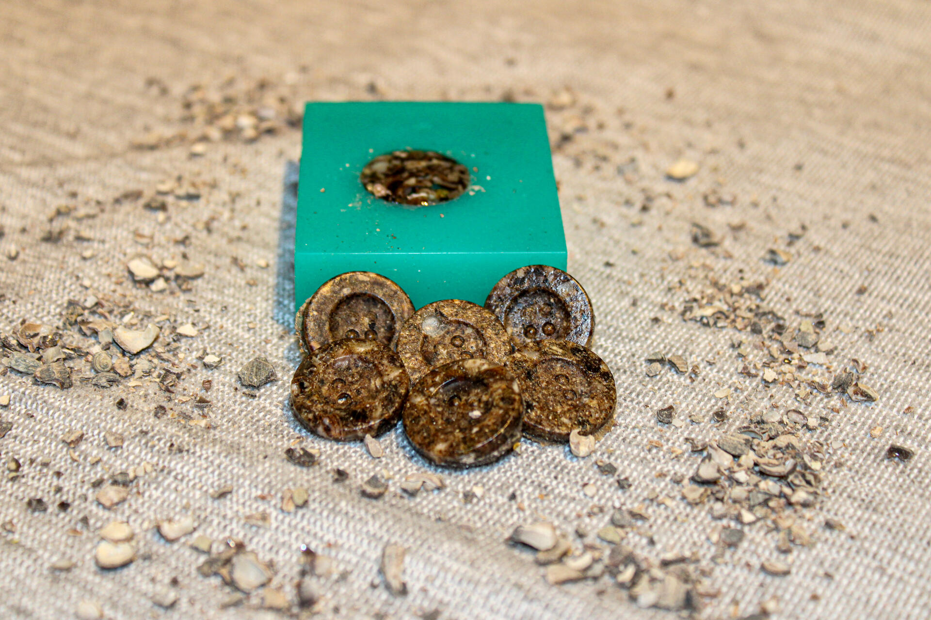 Close-up image of six buttons made from ground up periwinkle shells. They are rather earthy and look somewhat like a light brown soil mixture. Behind the shells is a bright green silicone mold used to make the shape of the cast objects.