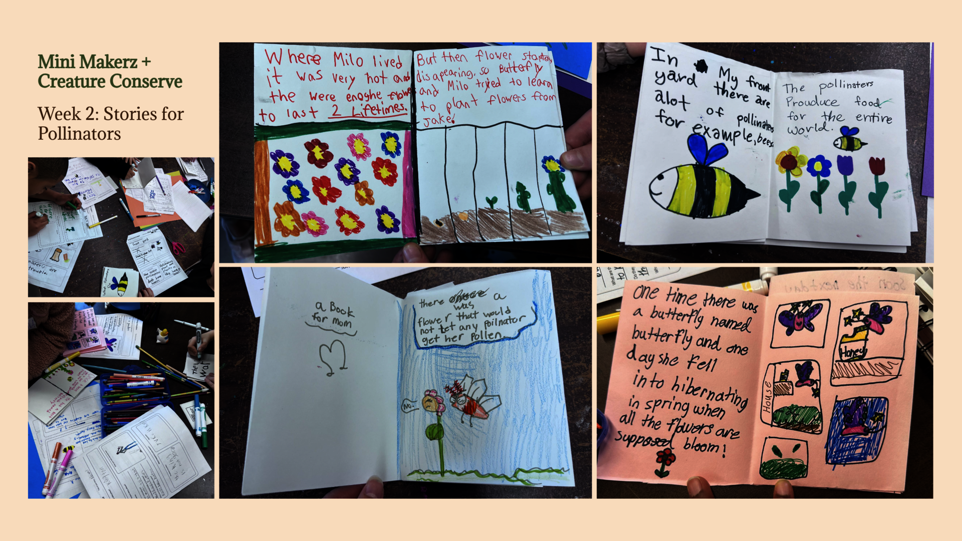 Collage: Examples of student zines showcasing stories about pollinators, alongside images of students engaged in the art-making process.