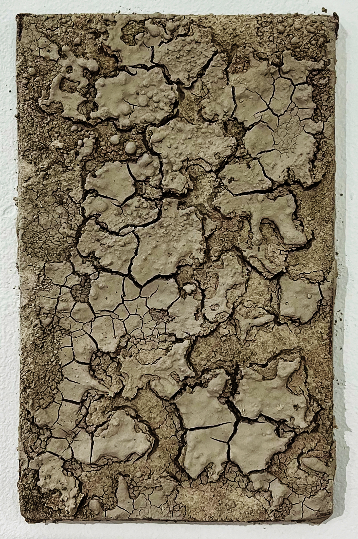 Beige clay tile with a heavily cracked and rough surface texture
