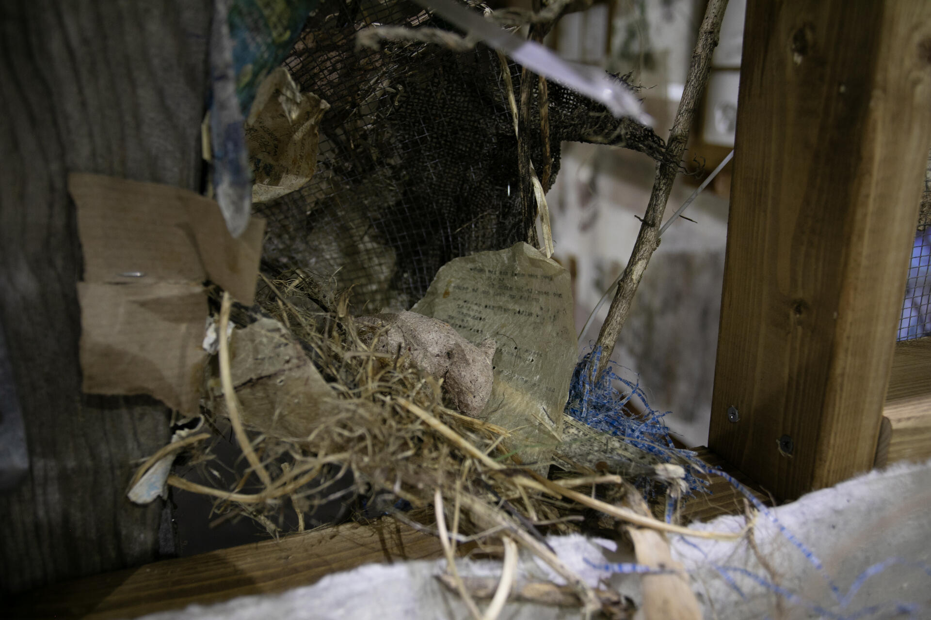 A little baby rat made of textued paper, in a nest that goes through the wall structure. The nast is made of burlap, hardware cloth, paper, hay and plastic scraps.