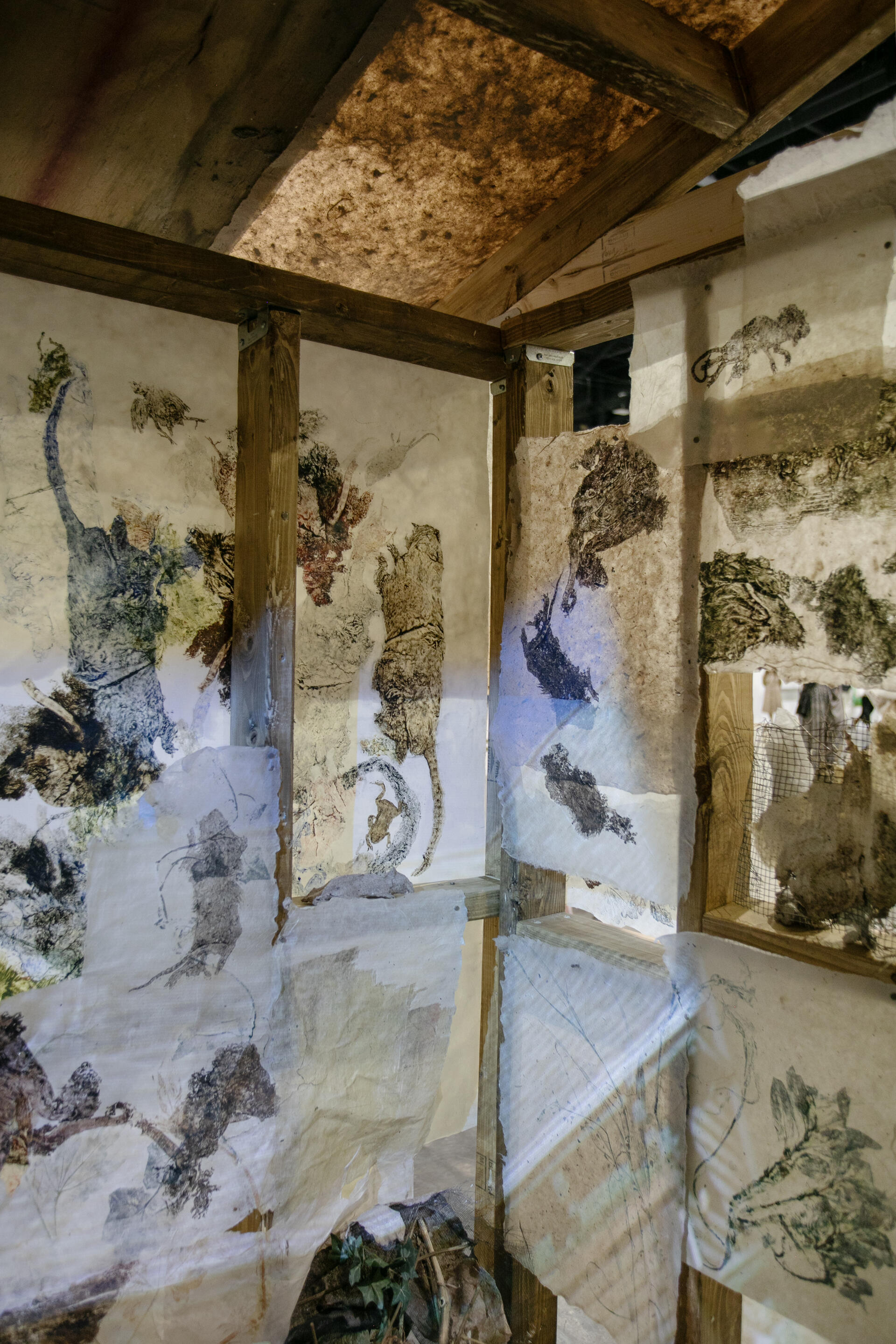 a corner inside the stucture, with prints of plants various roadkill, some rats, a snake, a toad and bird. Some are unrecognizable. a light projection of a house in one of the walls. 