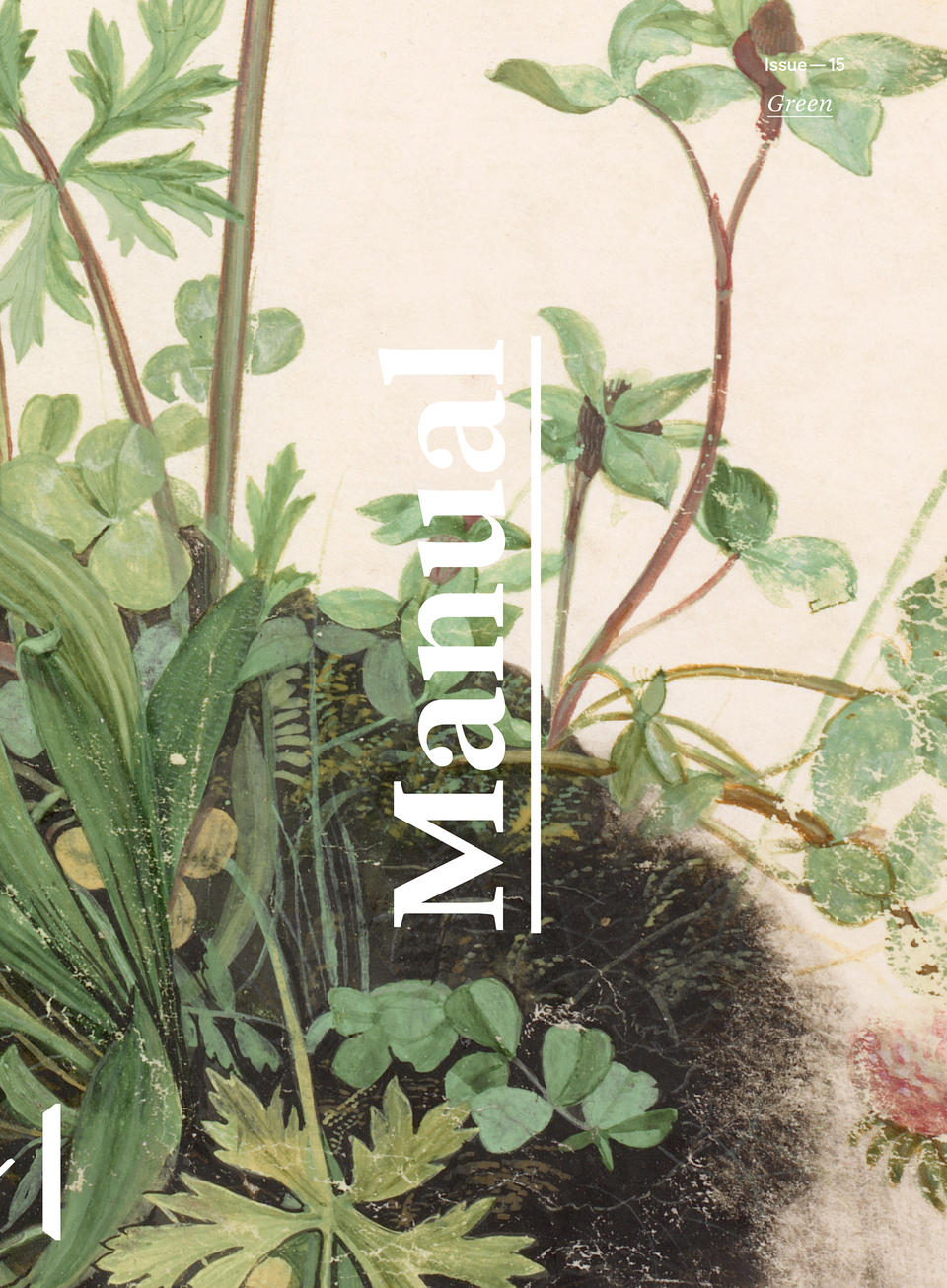 Cropped painting of a cluster of buttercup, red clover, and plantain flowers on cream colored paper with the word 'Manual' overlaid vertically in the center