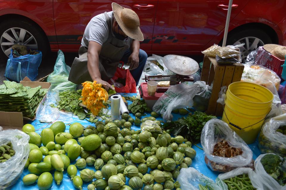 Farmer selling native crops in urban sidewalk