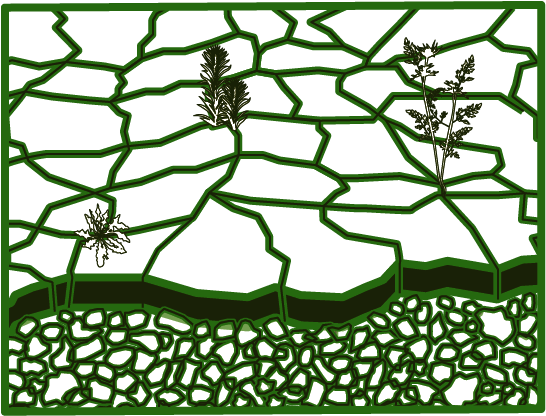 Crocodile crack cultivation diagram 1
