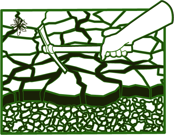 Crocodile crack cultivation diagram 2