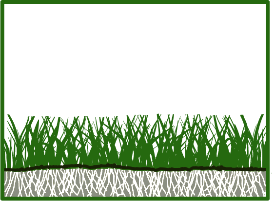 lawn meadow diagram 1